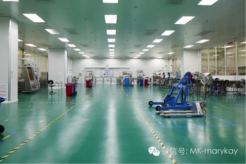 玫琳凱化妝品是否具有依賴性 理性分析與科學(xué)解答